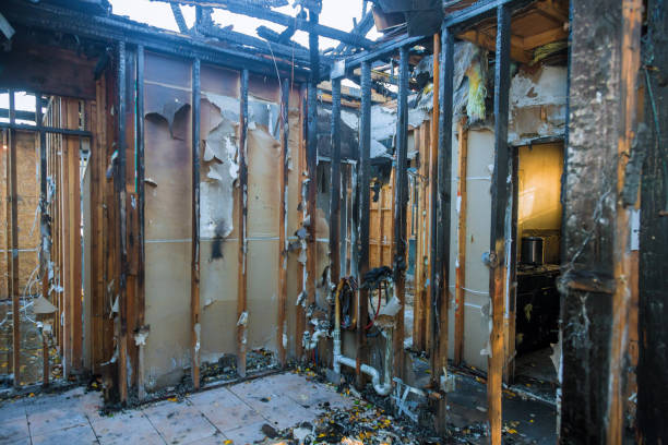 Professional Soot Cleanup technician working in Plano, TX